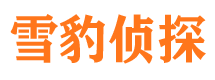 德保侦探公司